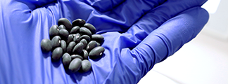 A latex-gloved hand, in the palm of which sits a small pile of organic Black Beans.