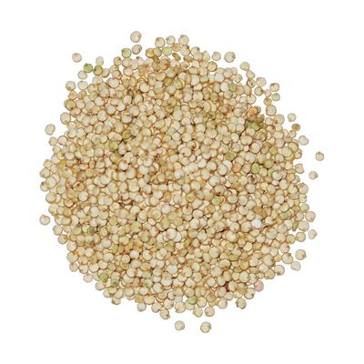 A top-down photo of a small pile of Organic Golden Quinoa.