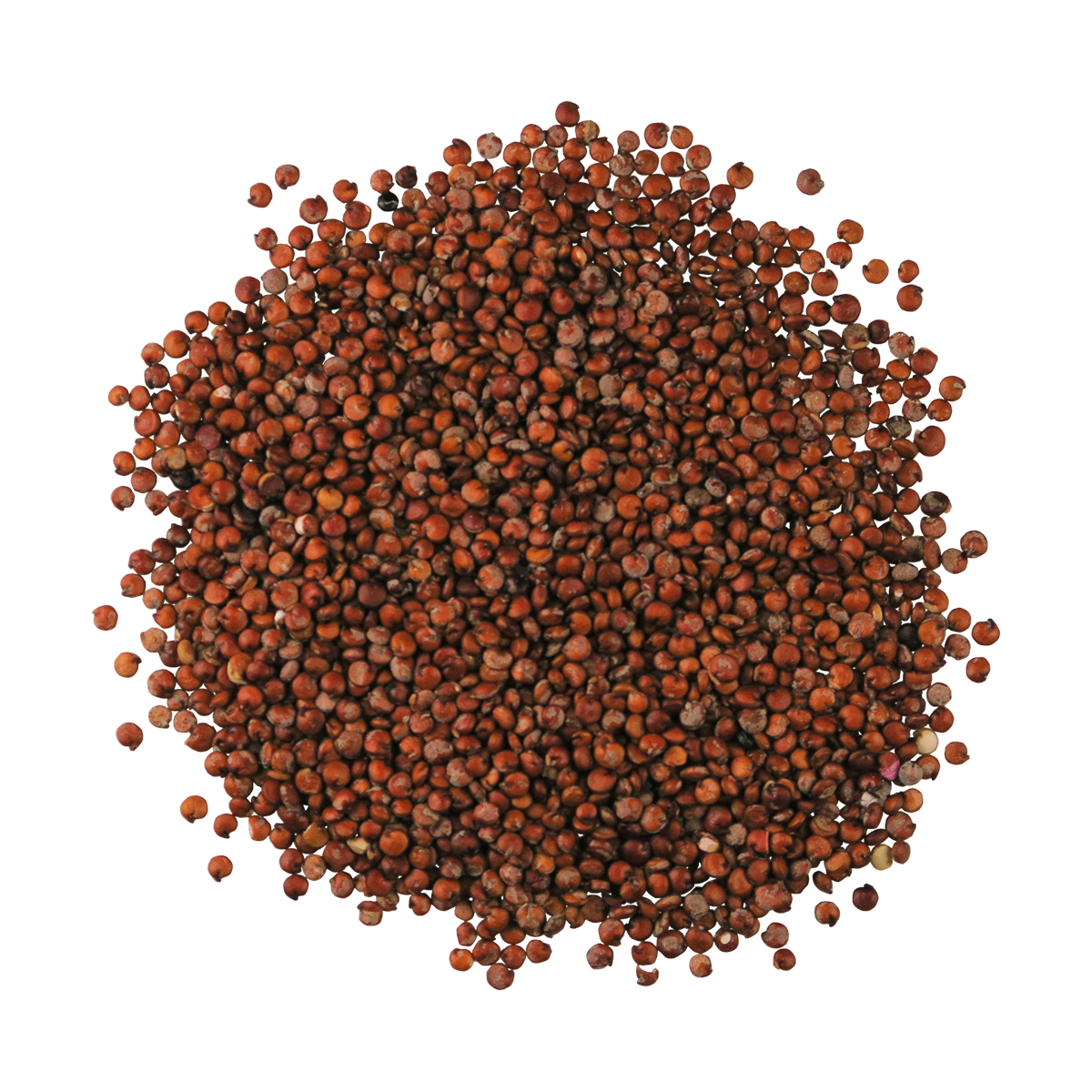 Red Quinoa Organic Gluten Free Edison Grainery