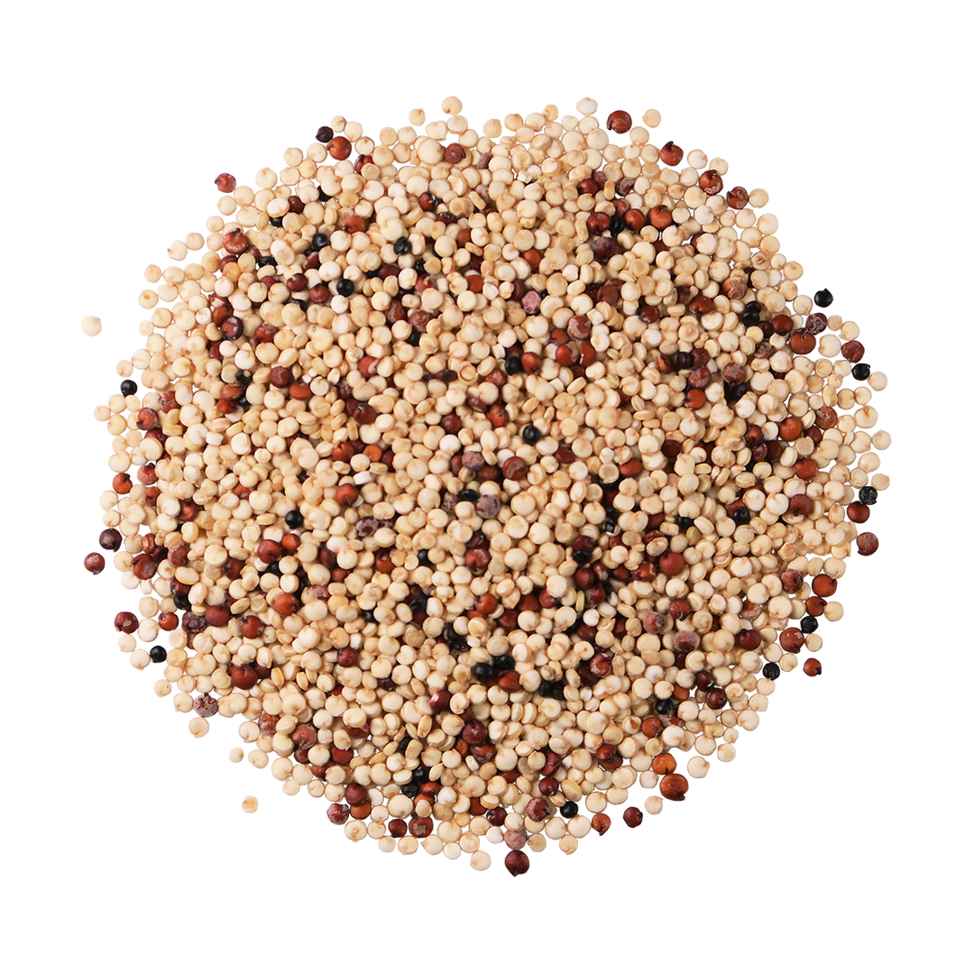 Tri Color Quinoa - Organic - Gluten Free – Edison Grainery