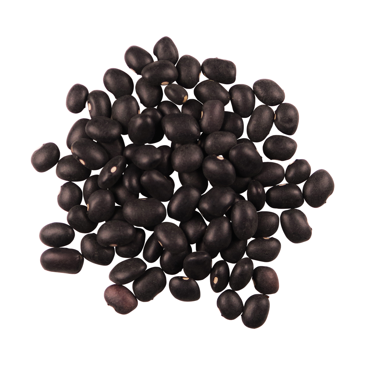 Black Beans Organic Gluten Free Edison Grainery