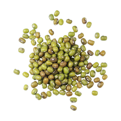 A top-down photo of a small pile of Organic Mung Beans.