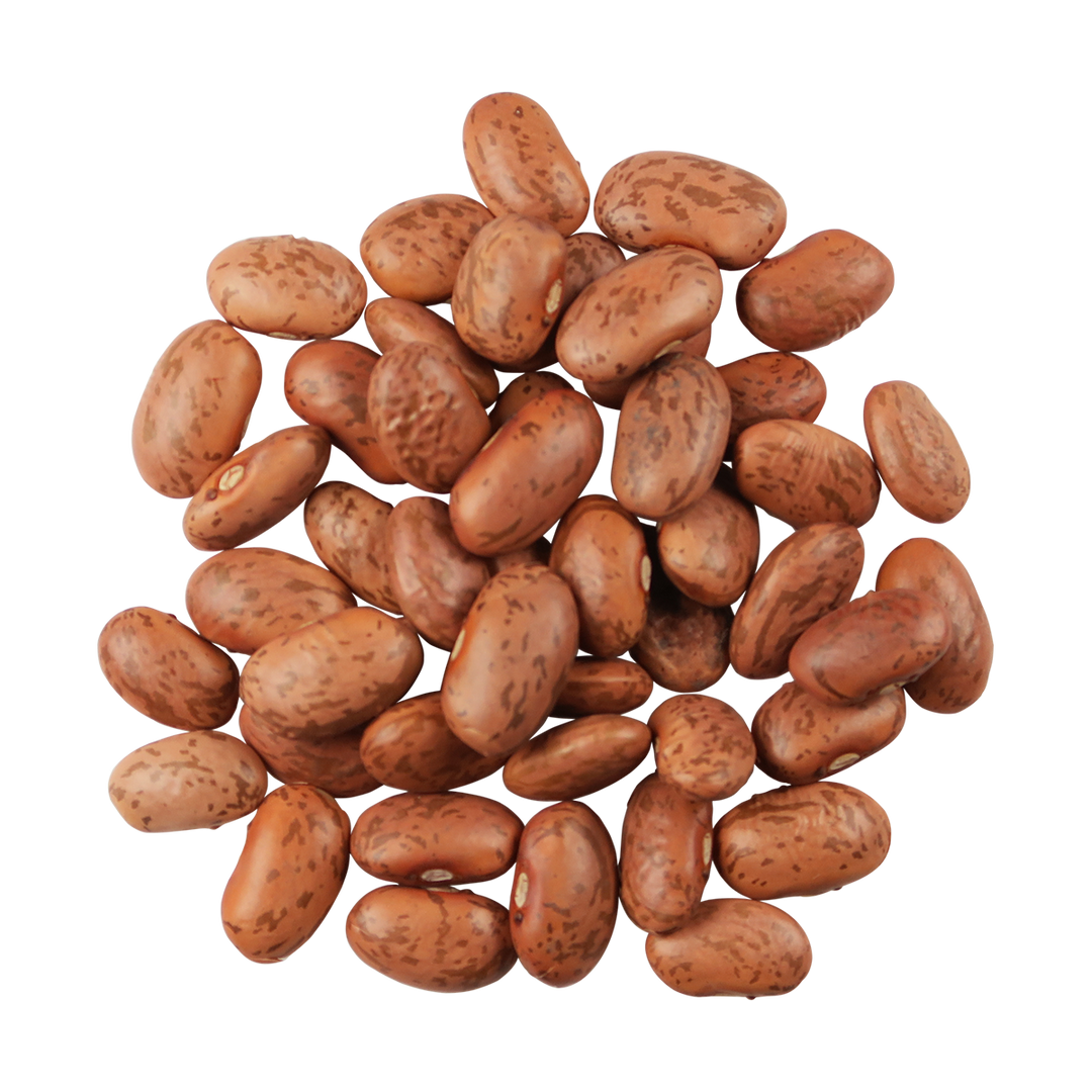 A top-down photo of a small pile of Organic Pinto Beans.