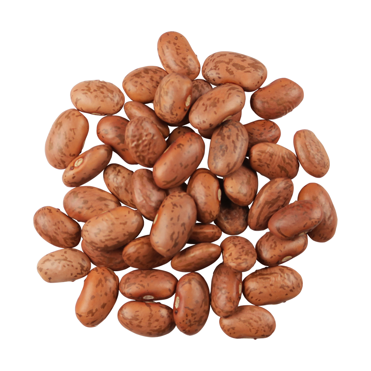 Pinto Beans Organic Gluten Free Edison Grainery