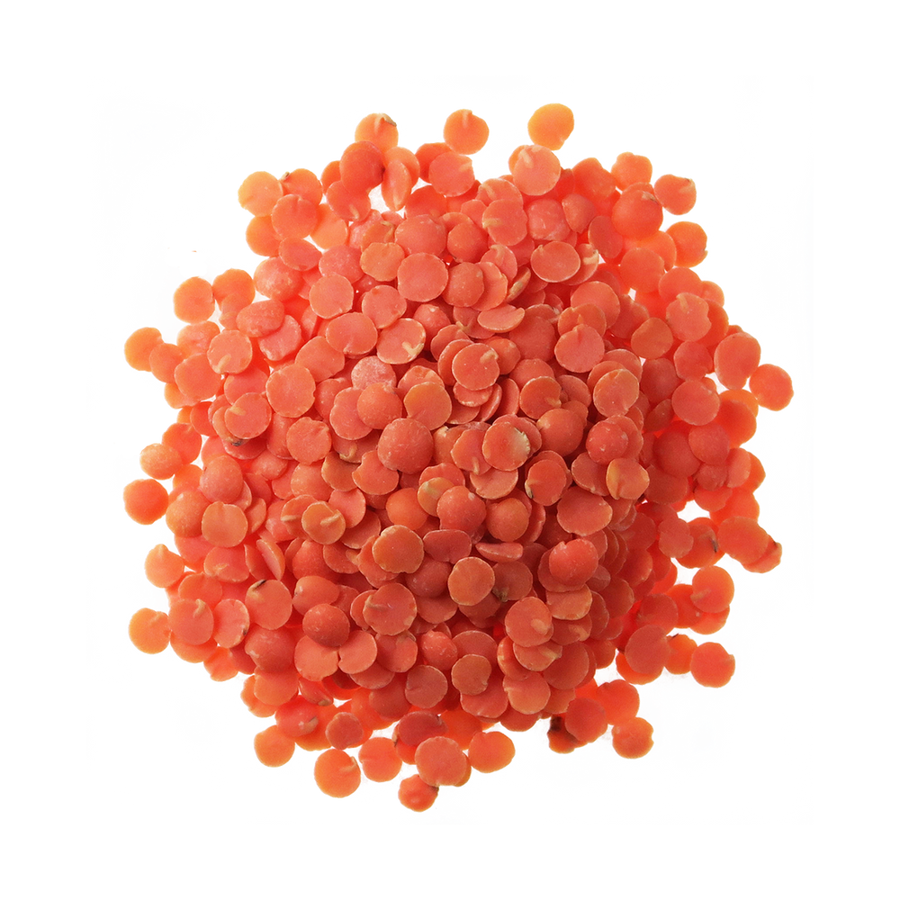 A top-down photo of a small pile of Organic Red Split Lentils.