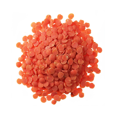 A top-down photo of a small pile of Organic Red Split Lentils.